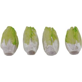 Set 4 cicoria 1,8 cm