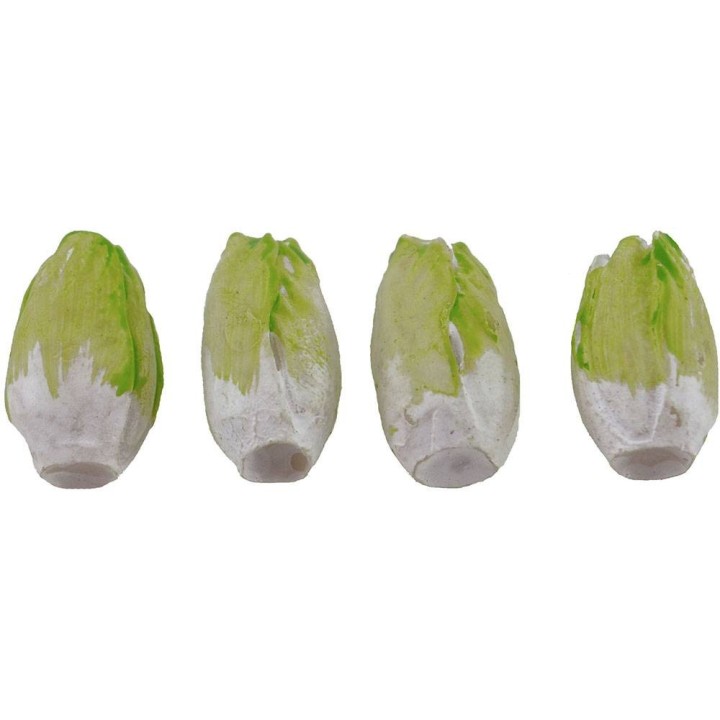 Set 4 achicoria 1,8 cm