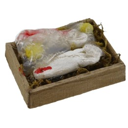Fish box cm 4x3x1
