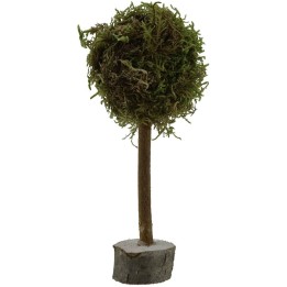 Árbol h. 