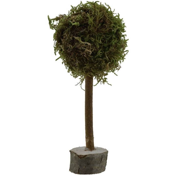 Tree h. 