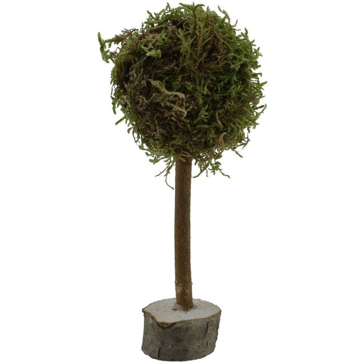 Tree h. 