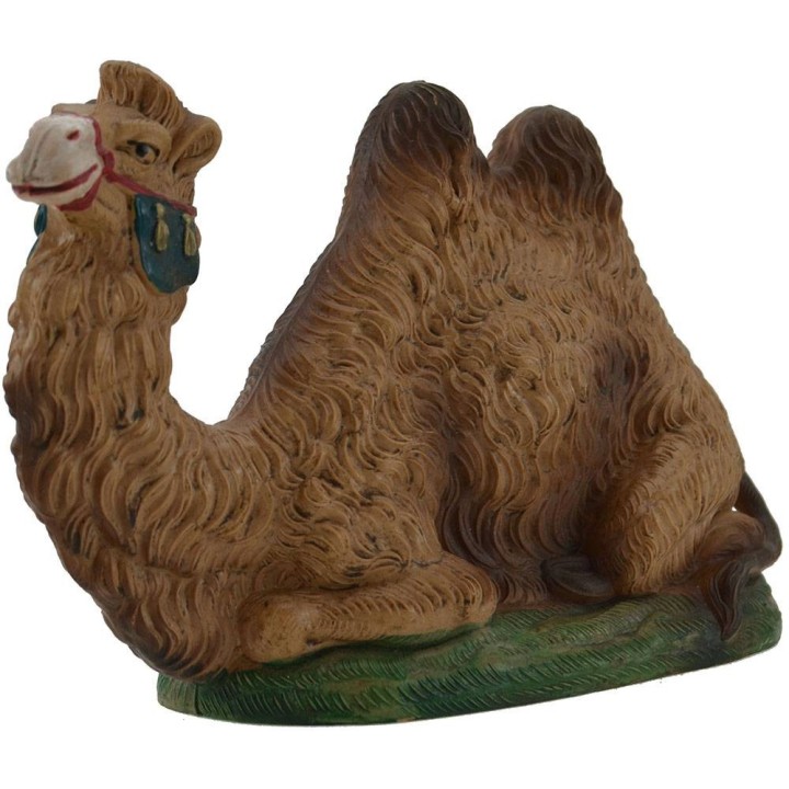 Camello acostado real 15 cm