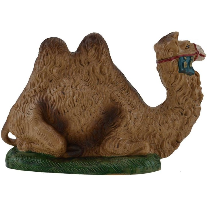 Camello acostado real 15 cm