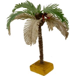 Palma con hojas bicolores disponible en varias alturas: