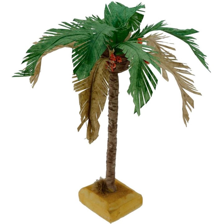 Palma con foglie bicolore disponibile in varie altezze:
