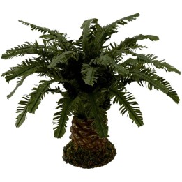 Palma nana deluxe disponibile in varie altezze: