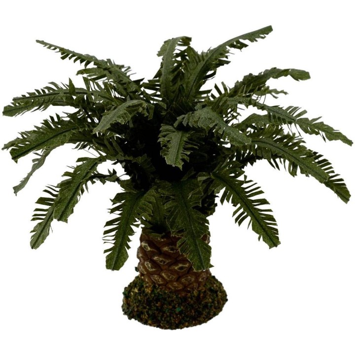 Palma nana deluxe disponibile in varie altezze: