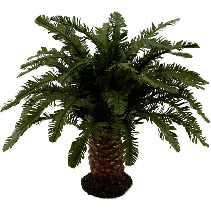 Palma nana deluxe disponibile in varie altezze: