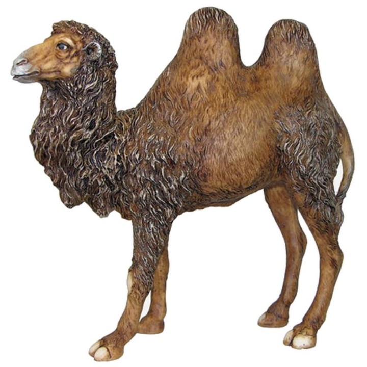 Resin camel 30 cm Pigini