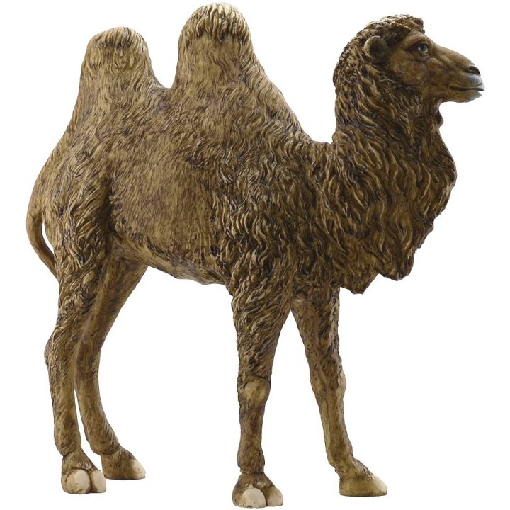 Camello de resina 30 cm Pigini