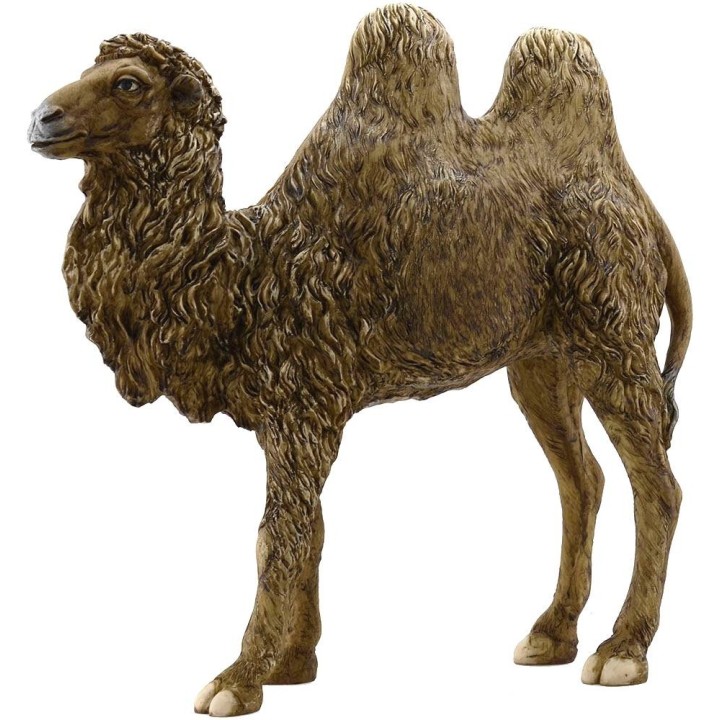 Camello de resina 30 cm Pigini
