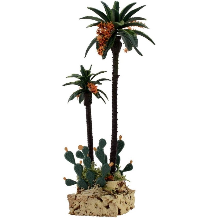 Palme and cactus h. 