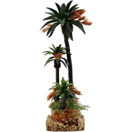 Palms h. 20-12-8-6 cm