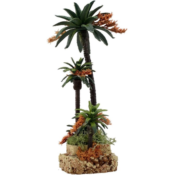Palms h. 20-12-8-6 cm