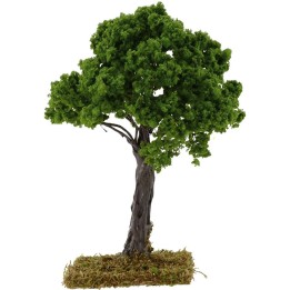 Oak h.16 cm