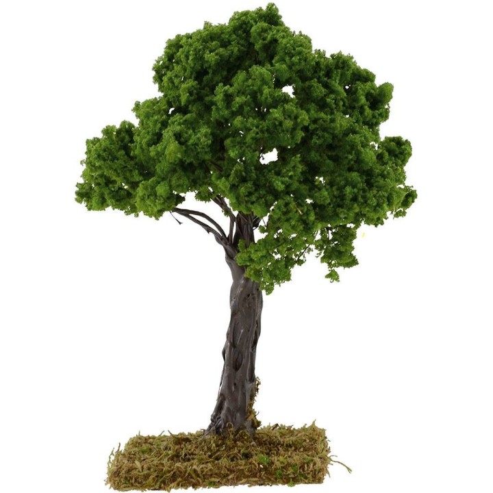 Roble h.16 cm