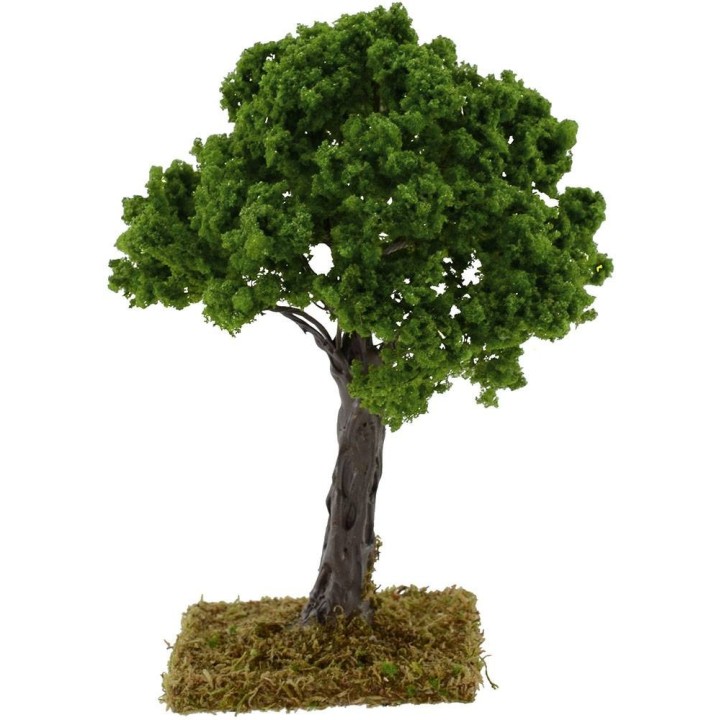 Quercia h.16 cm
