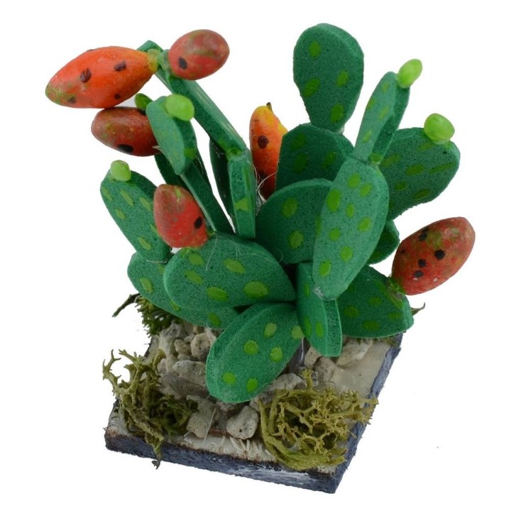 Prickly pear with base h. 