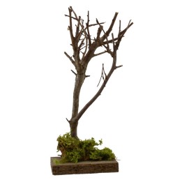 Tree h. 
