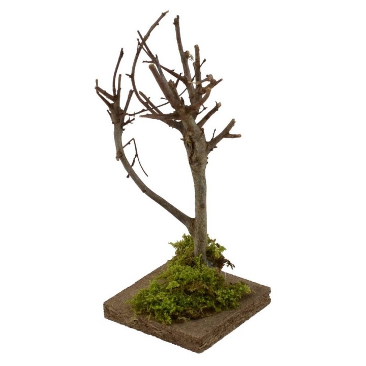 Tree h. 