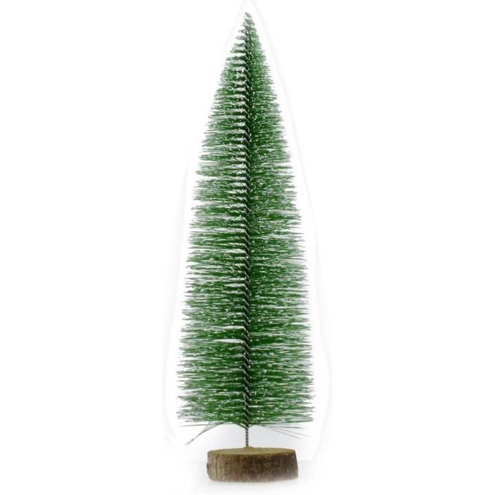 Pine h. 