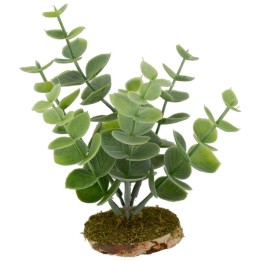Fat plant cm 12x12 h