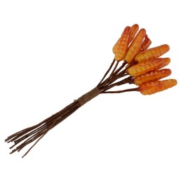 Mazzo di pannocchie