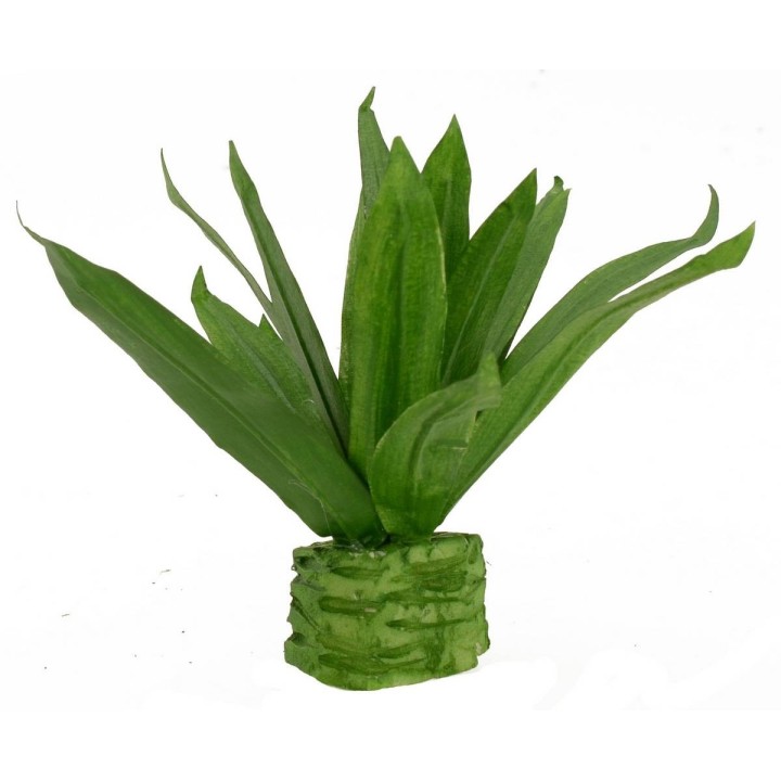 Agave modellabile cm 10,5 h