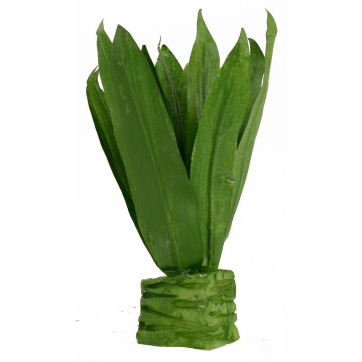 Agave modellabile cm 10,5 h