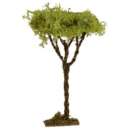 Árbol h. 
