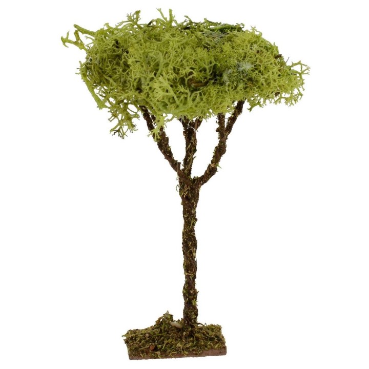 Árbol h. 
