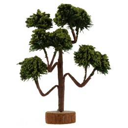 Tree with green chioma h. 