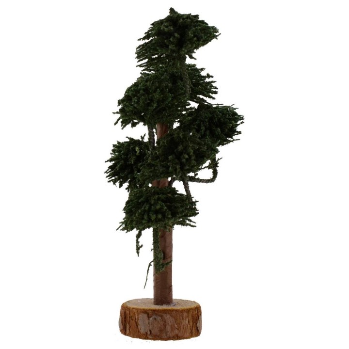 Árbol con copa verde bosque h. 