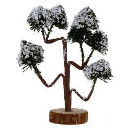 Tree with grafted chioma h. 
