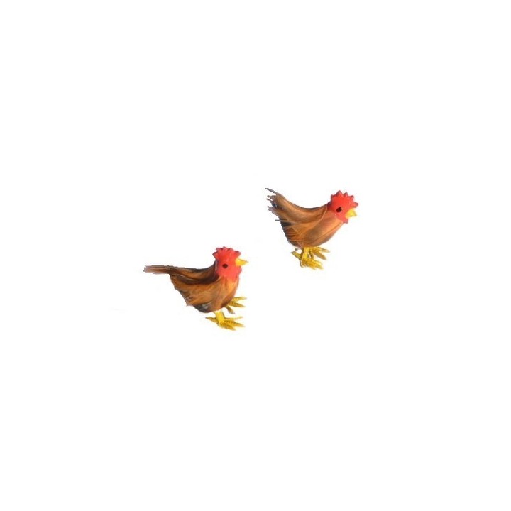 Set 2 galline piumati - 4465