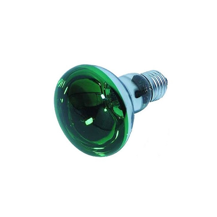 Lampada spot Verde E27-60W
