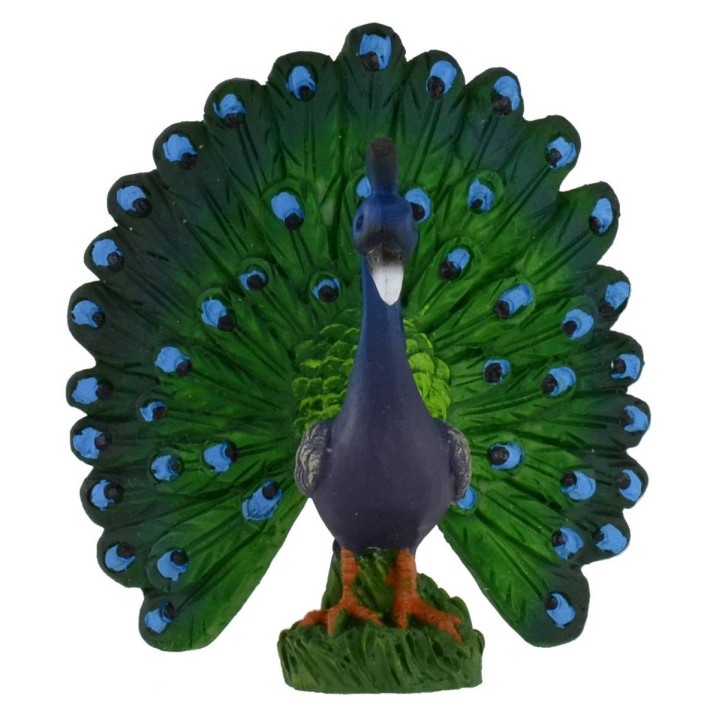 Peacock cm 6x6,6h