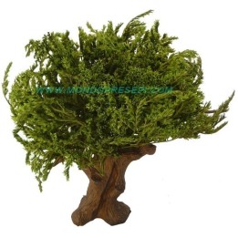 Albero 25-27 cm foglie Verdi