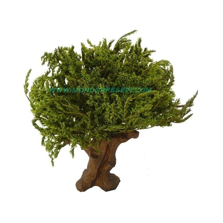 Albero 25-27 cm foglie Verdi