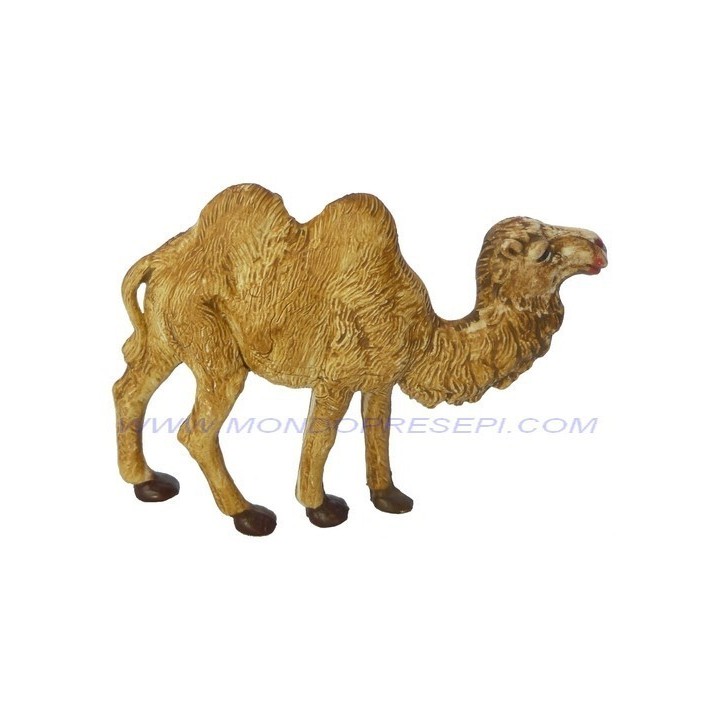 Camel 6 cm