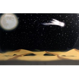 Cielo stellato fibre ottiche con luna e cometa ef. 