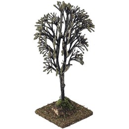 Albero h. 