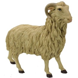 Montone testa alta Pigini per statue 30 cm