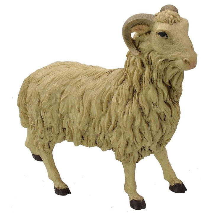 Montone testa alta Pigini per statue 30 cm
