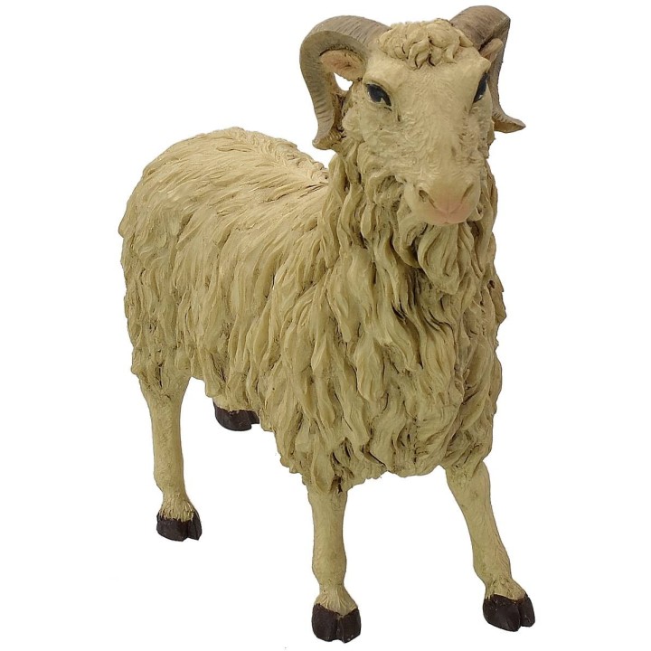 Montone testa alta Pigini per statue 30 cm