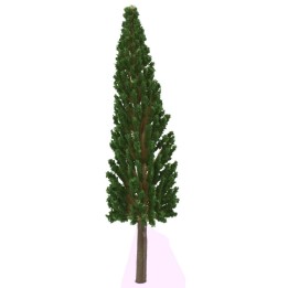 Cipresso senza base 17 cm