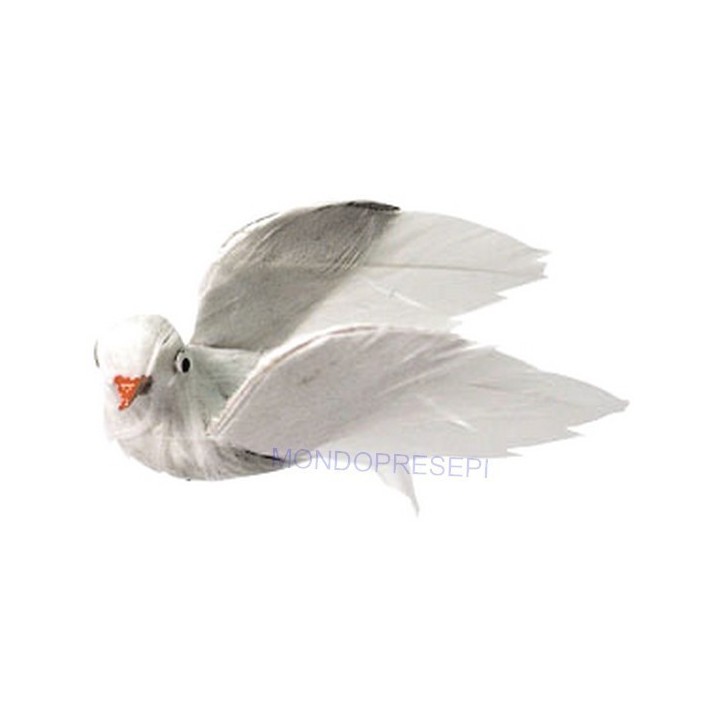 Colomba in volo - PIV