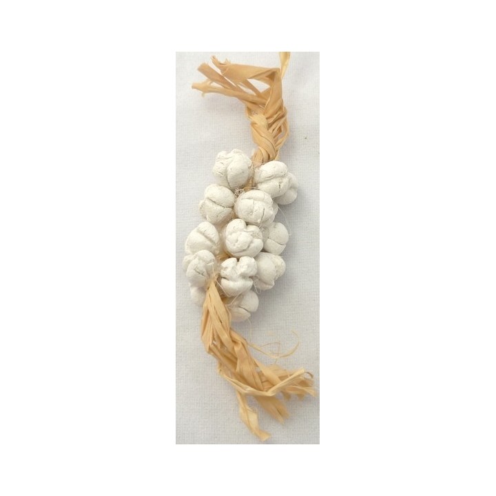 Ceppo d'aglio