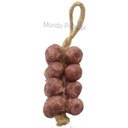 Onion strain